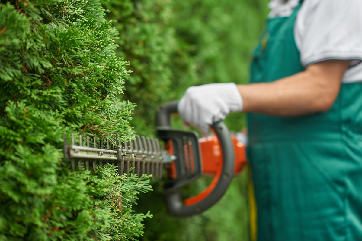 How Much Do Landscaping Services Cost?